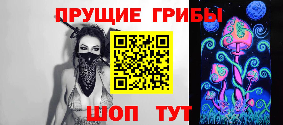 Галлюциногенные грибы Psilocybe Камышин