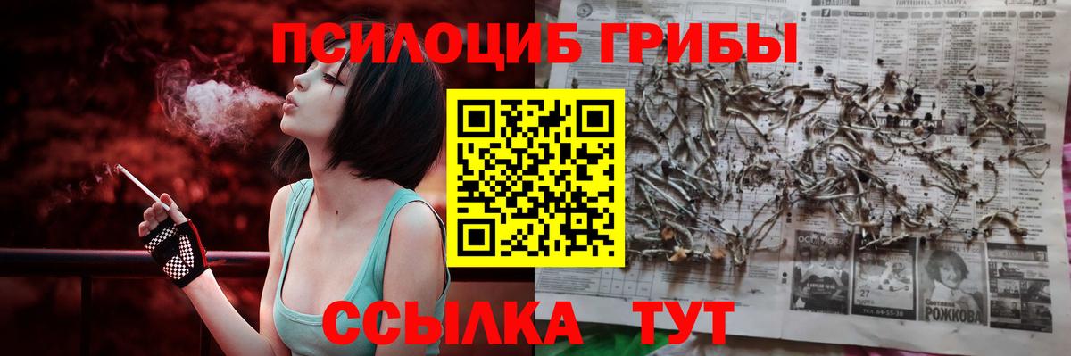 дарнет шоп  Псилоцибиновые грибы Magic Shrooms  Вход с VPN  Камышин 