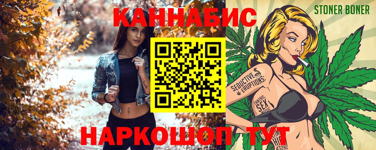 МАРИХУАНА планчик Камышин